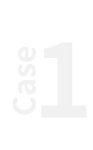 case1