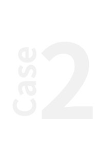 case2