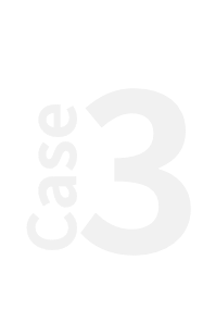 case1